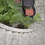 Photo numero 37