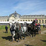 Photo numero 20