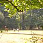 Photo numero 12