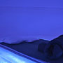 Photo numero 5