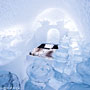 Photo numero 6
