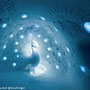 Photo numero 17