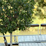 Photo numero 5