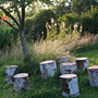 Photo numero 10