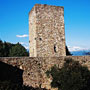 Photo numero 7