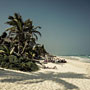 Photo numero 28