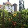 Photo numero 23