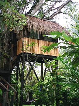 Parrot Nest Lodge