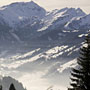 Photo numero 19