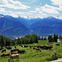 Photo numero 10