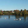 Photo numero 18