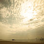 Photo numero 33
