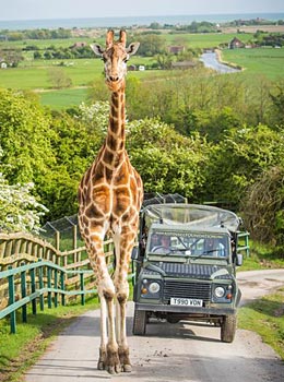 Port Lympne Mansion Hotel