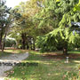 Photo numero 11