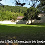 Photo numero 12