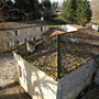 Photo numero 13