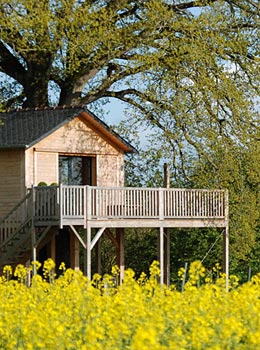 Cabanes perchées de La Bourousais