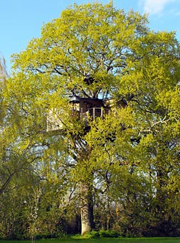 Cabane Perchée du Charron