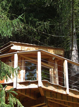 La Cabane dans les Arbres