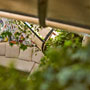 Photo numero 8