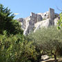 Photo numero 14
