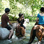 Photo numero 43