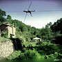 Photo numero 11