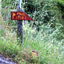 Photo numero 16