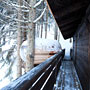 Photo numero 25