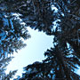 Photo numero 29