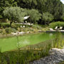 Photo numero 35