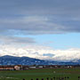 Photo numero 24