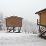 Photo numero 26