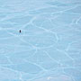 Photo numero 18