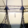 Photo numero 17