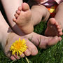 Photo numero 5