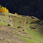 Photo numero 13