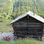 Photo numero 37