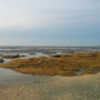 Photo numero 18