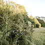Photo numero 10