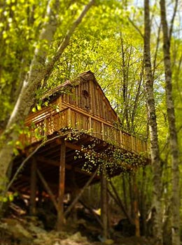 Les Cabanes de Saint Léger