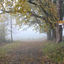 Photo numero 27