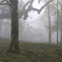 Photo numero 28
