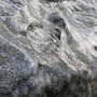 Photo numero 34