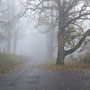 Photo numero 37
