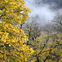 Photo numero 38