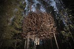 treehotel