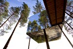 photo treehotel