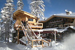 la tree house des escondus