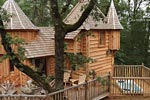 photo chateaux dans les arbres